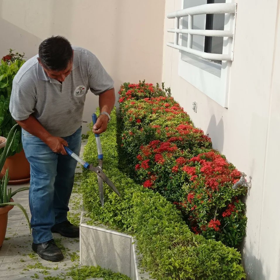 gardenservicese's tweet photo. GARDENSERVICES

Parte de nuestro equipo profesional, trabajando con eficacia, eficiencia y empeño. Generando confianza y alto grado de satisfacción a  nuestros clientes.

@gardenservicese 
#serviciodejardineriagardenservicesecu
Contáctanos
0985572759 https://t.co/m0CstmTuRt