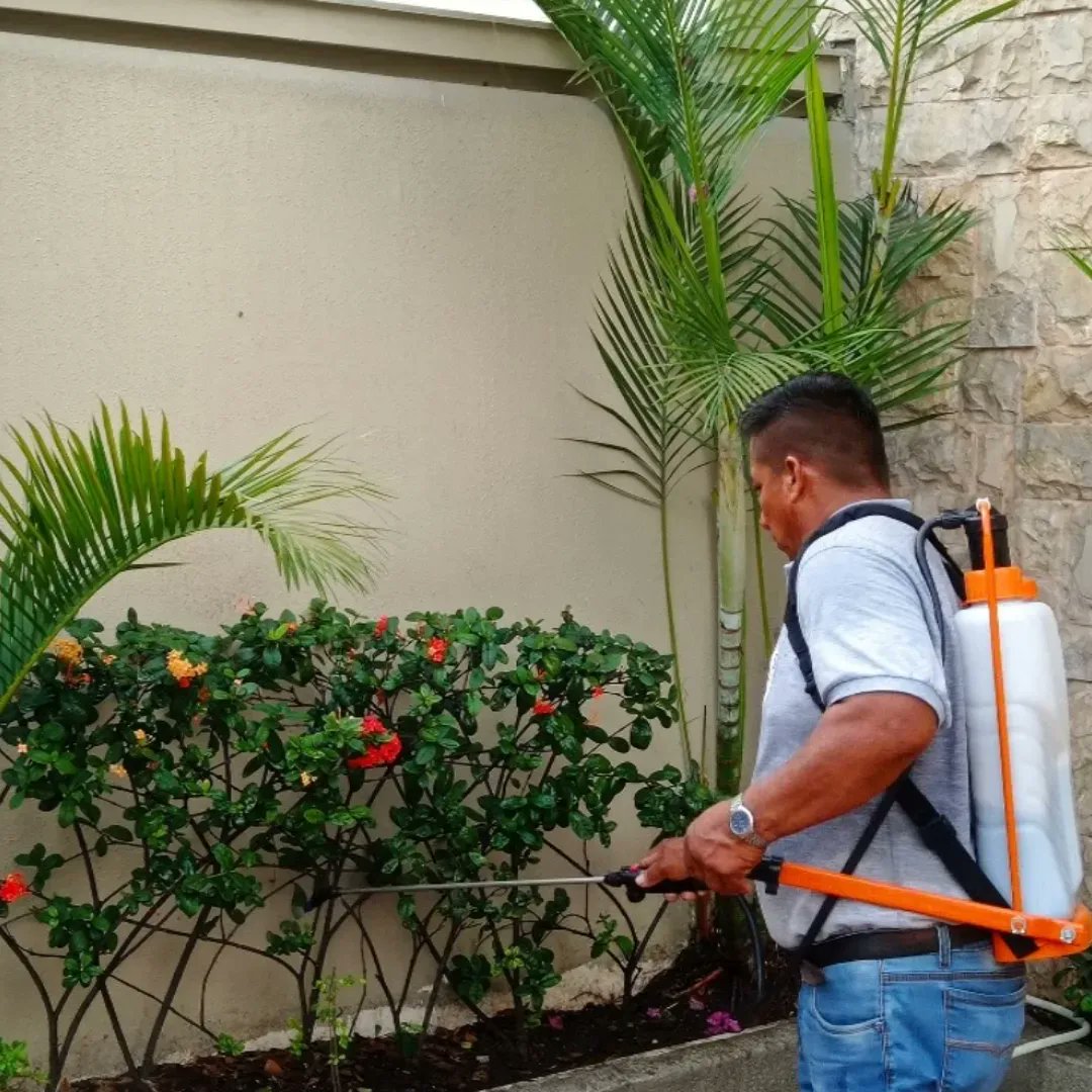 gardenservicese's tweet photo. GARDENSERVICES

Parte de nuestro equipo profesional, trabajando con eficacia, eficiencia y empeño. Generando confianza y alto grado de satisfacción a  nuestros clientes.

@gardenservicese 
#serviciodejardineriagardenservicesecu
Contáctanos
0985572759 https://t.co/m0CstmTuRt