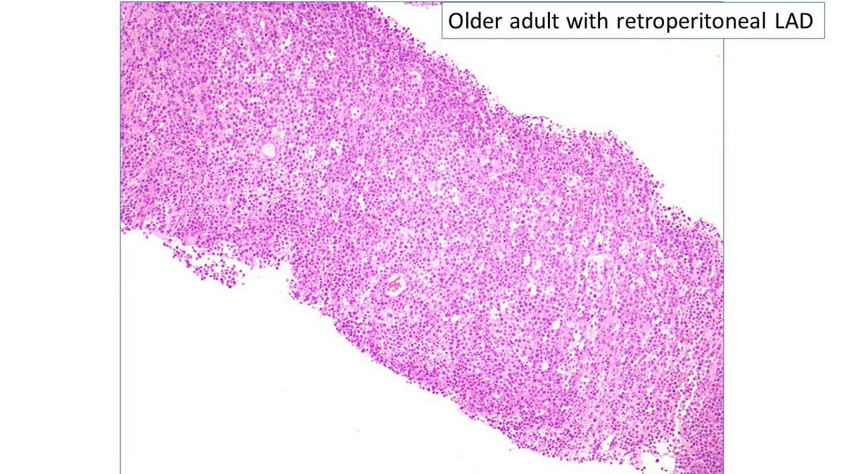 Judith Ferry tweet media