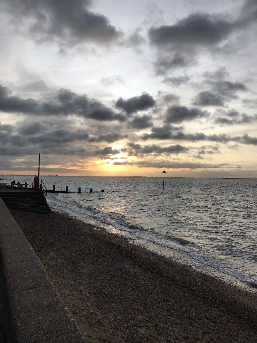 Hayley Forrest tweet media