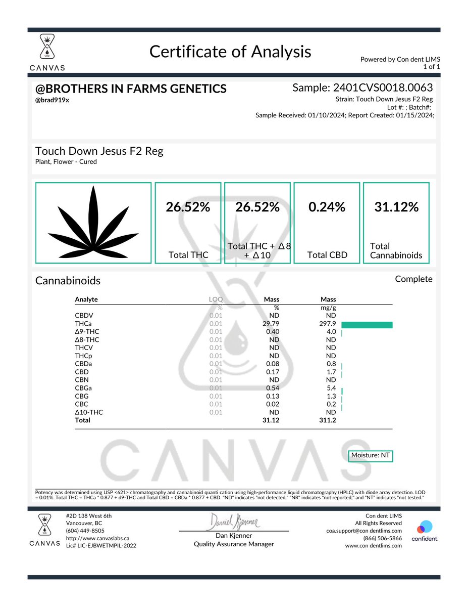 sugarleafpacks tweet media
