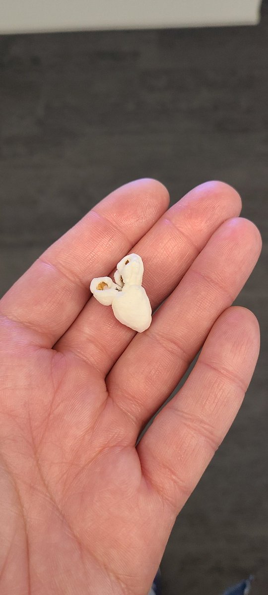 sacrelicio's tweet photo. Found this in my shirt pocket https://t.co/kTzrwdjCN9