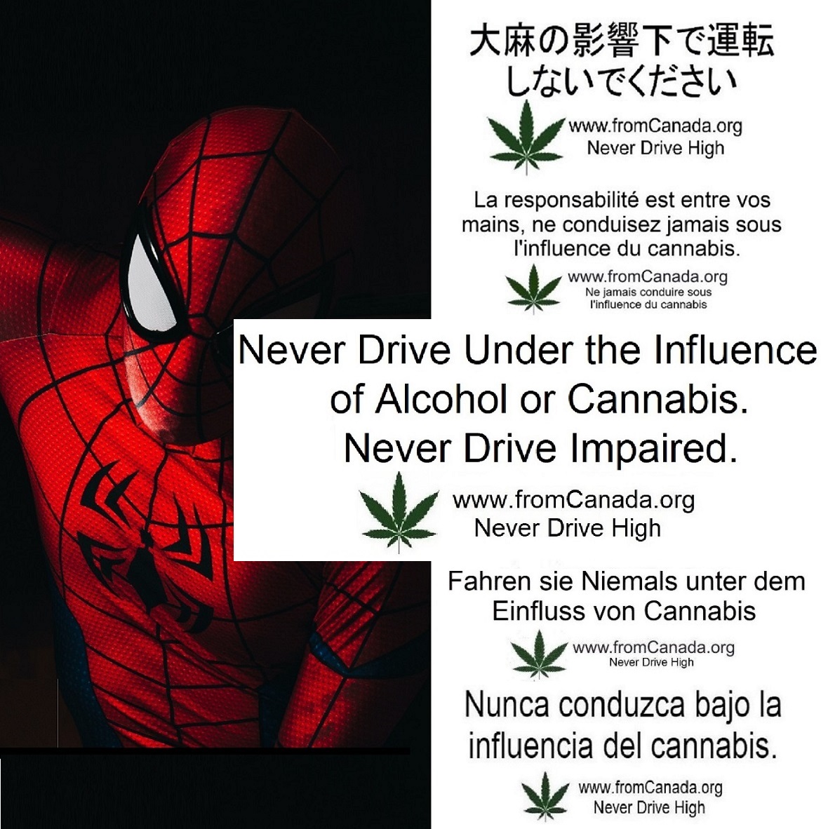 cannabisORGca tweet picture