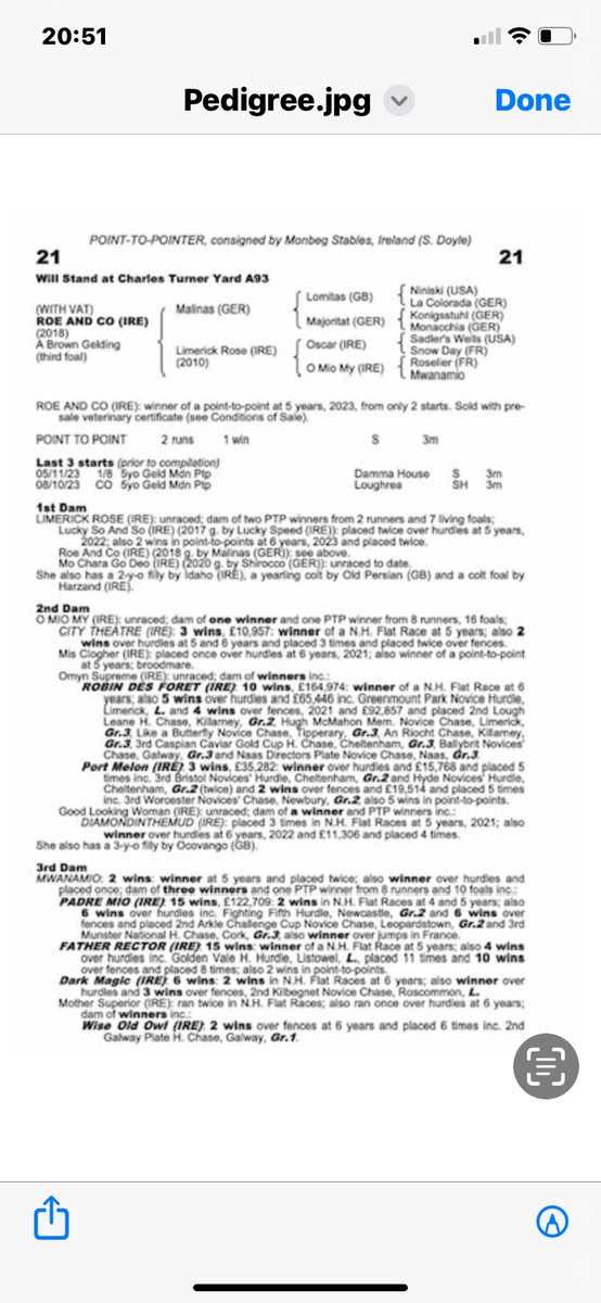 ProspectRacing's tweet image. Delighted to be offering shares in Roe And Co, a 6yo gelding by Malinas in training with @jamiesnowden
Roe&amp;amp;Co who won an Irish ptp was bought at the Chelt sales for £66,000 incl costs plus vat(reclaimable), a very athletic looking horse that has the making of a top chaser.