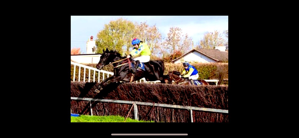 ProspectRacing's tweet image. Delighted to be offering shares in Roe And Co, a 6yo gelding by Malinas in training with @jamiesnowden
Roe&amp;amp;Co who won an Irish ptp was bought at the Chelt sales for £66,000 incl costs plus vat(reclaimable), a very athletic looking horse that has the making of a top chaser.