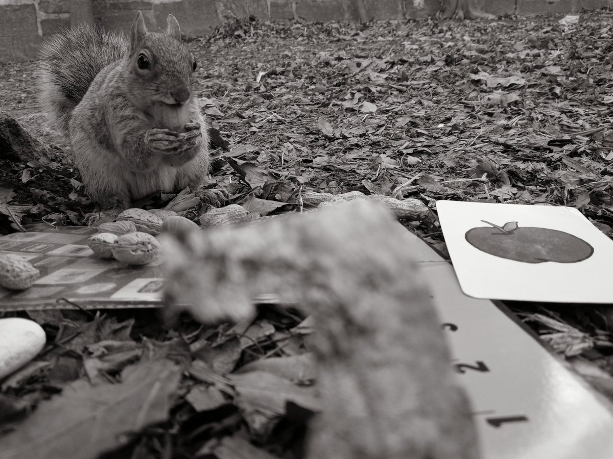 A pecan off the checker board. Games.