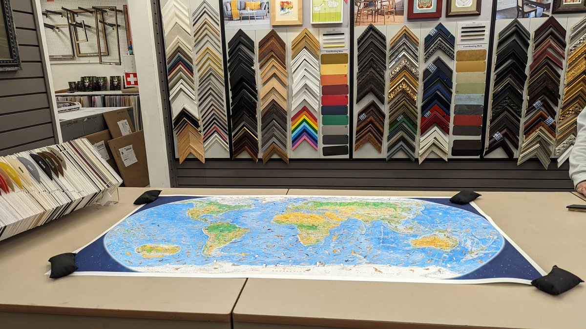 Big day for my print of <a href="/AntonThomasMaps/">Anton Thomas</a> Wild World as I leave it in the (hopefully) capable hands of local framer. My usual framing guy has retired so I'm in new territory 😬