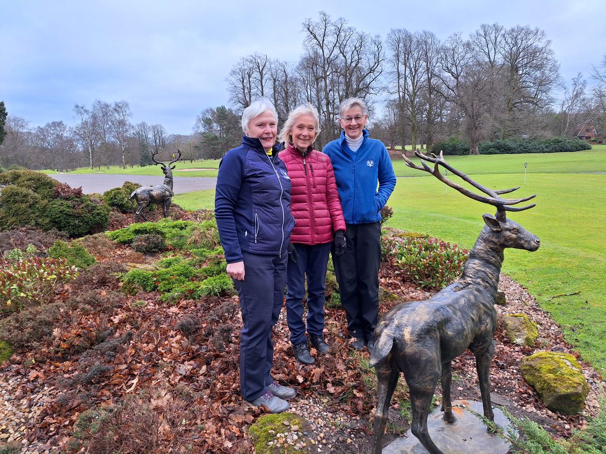 Brocton Hall Golf Club tweet media