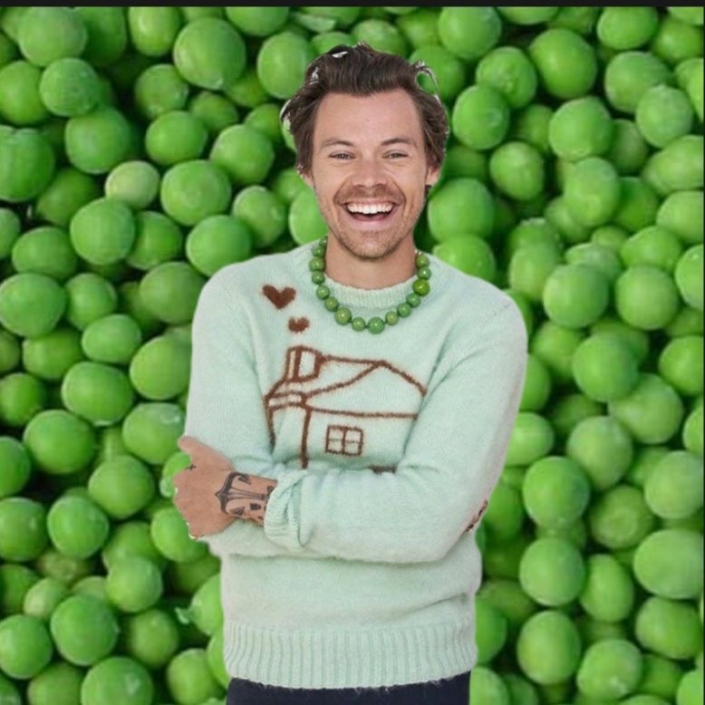 JoDrs28's tweet photo. #NewProfilePic 🫛
#HappeaBirthdayHarry 
#HarrryStyles https://t.co/dDoU5JH8GB