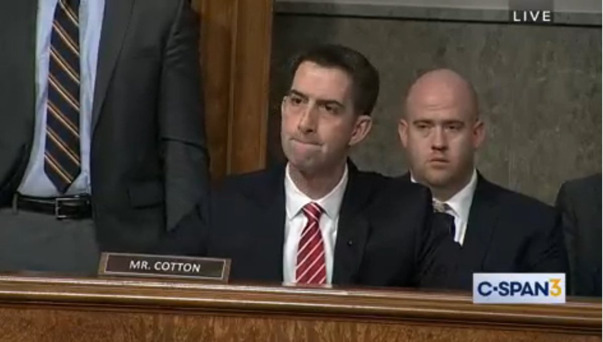 Supernalwings's tweet image. Tom Cotton is a racist and goal was to use Judiciary Committee’s hearing to target Biden #cspan