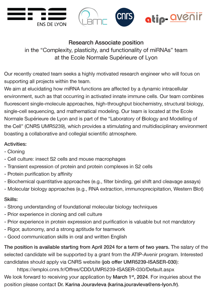 Join our team! We're hiring a Research Engineer to work on miRNAs at LBMC, ENS Lyon. Apply by March 1st here: emploi.cnrs.fr/Offres/CDD/UMR…. #ResearchEngineer #miRNAs @Lyon_LBMC @ENSdeLyon <a href="/CNRSbiologie/">CNRS Biologie</a>