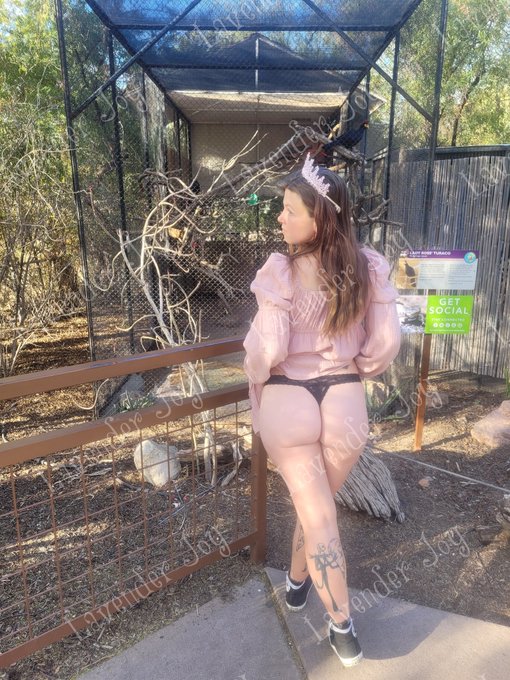 #BirthdayGirl https://t.co/NrFWtBwdD2<a href="/tag/birthdaygirl"class="tags">#BirthdayGirl</a>