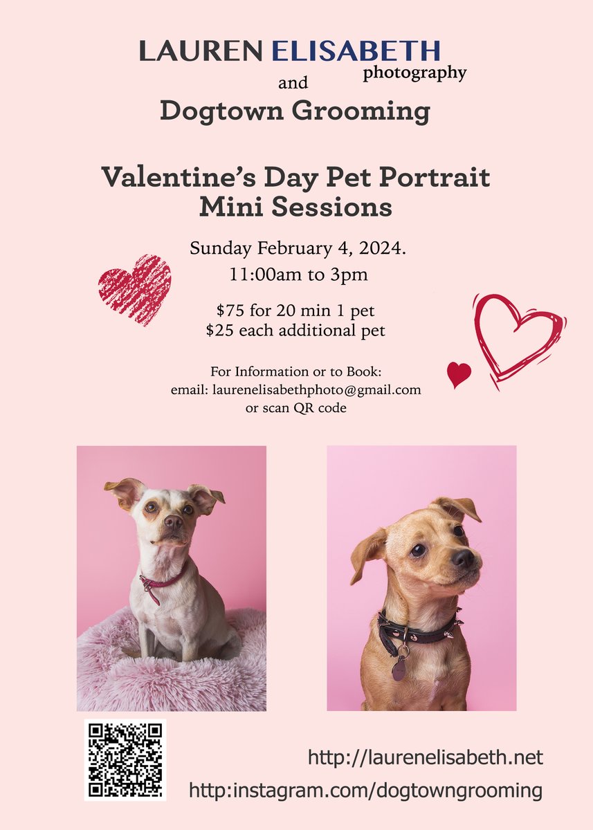 Have a few more spots open for my Valentine’s pet portrait sessions in Venice, CA on Sunday! Message me to reserve a spot for your furry valentine! #valentinesday2024 #valentinesday #petportraits #dogtography #dogportraits #losangeles