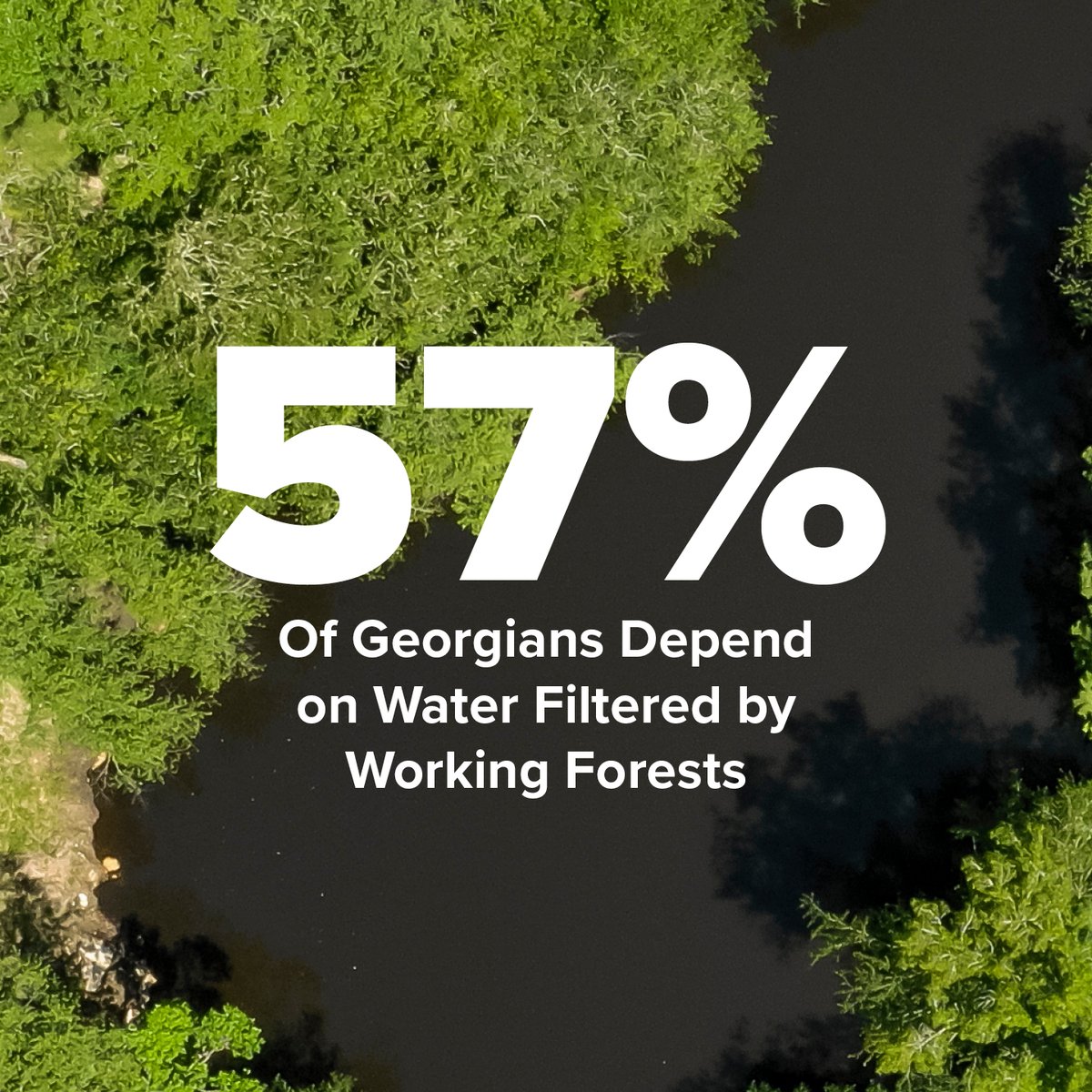 Georgia Forestry Foundation tweet media