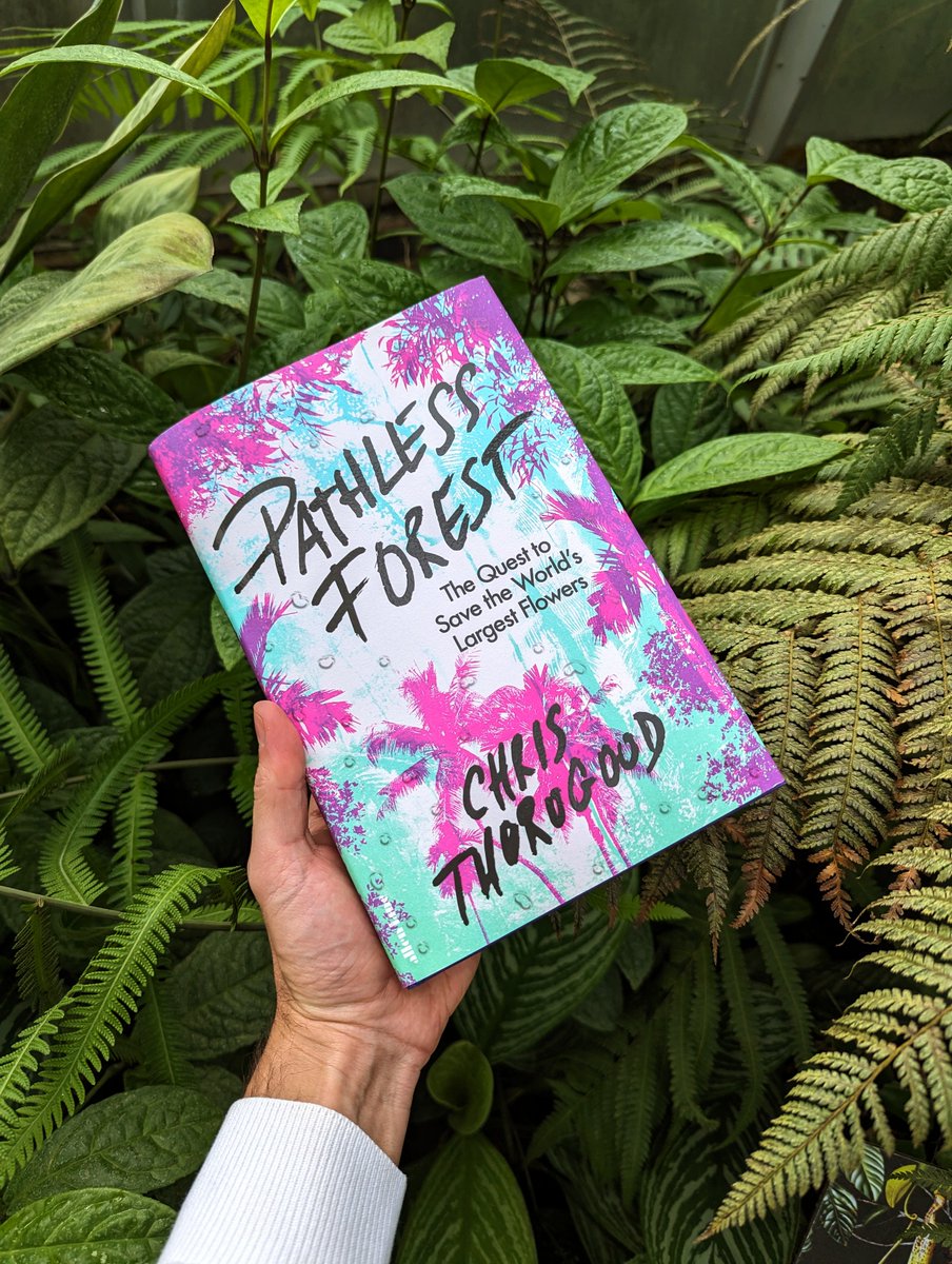thorogoodchris1's tweet photo. Pathless Forest officially exists! This is a story about my life-long passion for a plant – a plant in peril – and together with my co-workers in Southeast Asia, our efforts to save it. A lot of love went into this one. I hope you like it x https://t.co/7W2ZvVDf4E