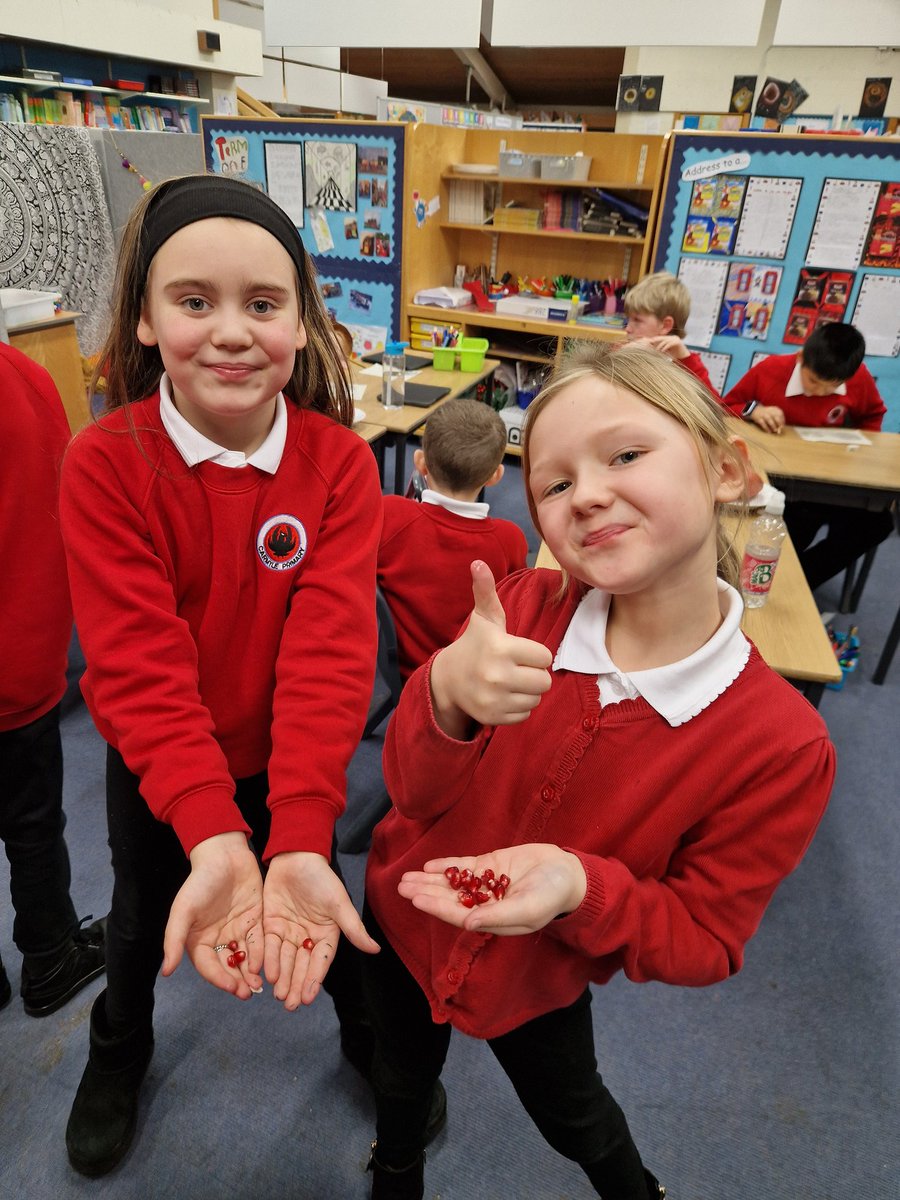 Mrs McCarten tweet media