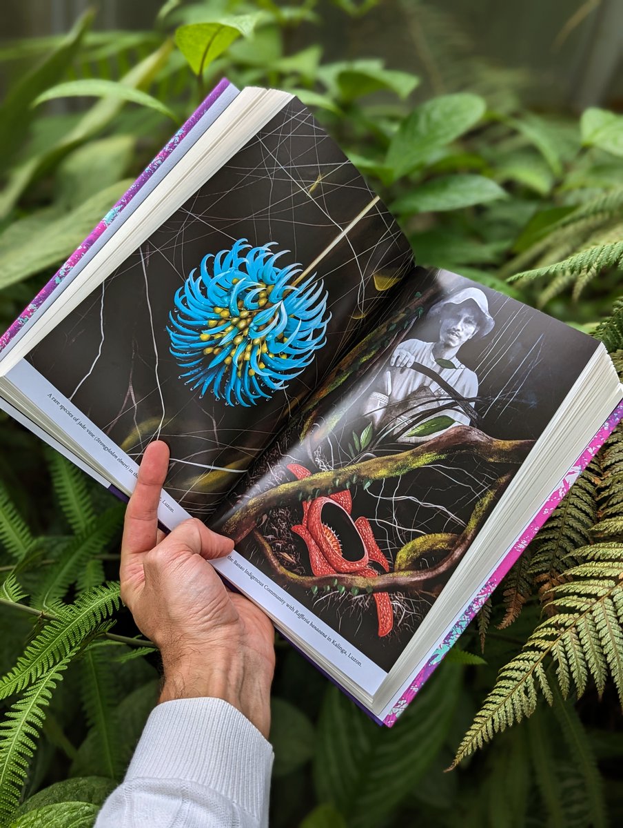 thorogoodchris1's tweet photo. Pathless Forest officially exists! This is a story about my life-long passion for a plant – a plant in peril – and together with my co-workers in Southeast Asia, our efforts to save it. A lot of love went into this one. I hope you like it x https://t.co/7W2ZvVDf4E