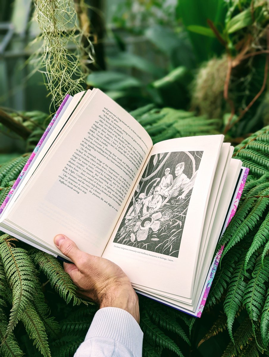 thorogoodchris1's tweet photo. Pathless Forest officially exists! This is a story about my life-long passion for a plant – a plant in peril – and together with my co-workers in Southeast Asia, our efforts to save it. A lot of love went into this one. I hope you like it x https://t.co/7W2ZvVDf4E