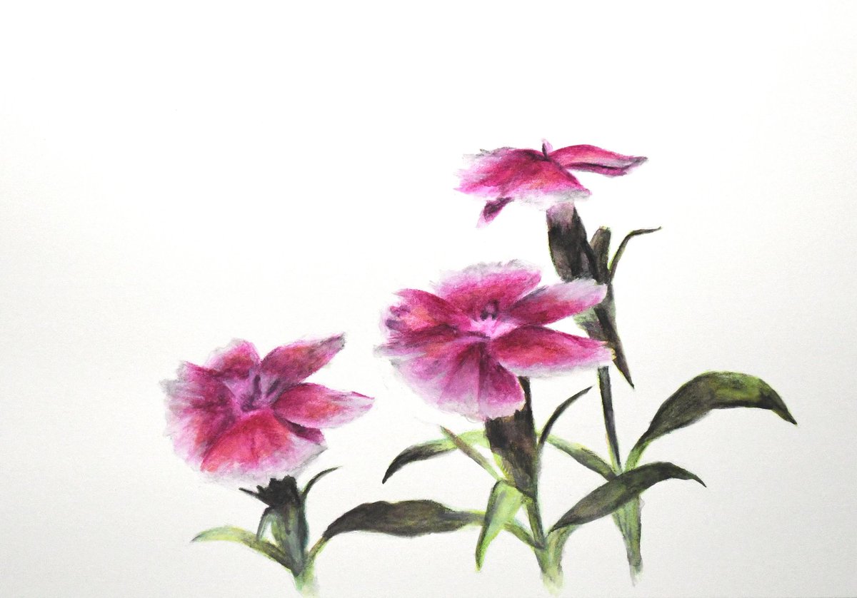 「水彩色鉛筆はまだ慣れてない。時々しか描かないっていうのもある。水で溶かしたときの」|Naoya Ohtaniのイラスト