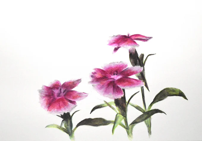 水彩色鉛筆はまだ慣れてない。時々しか描かないっていうのもある。水で溶かしたときの発色でゴリ押し。 