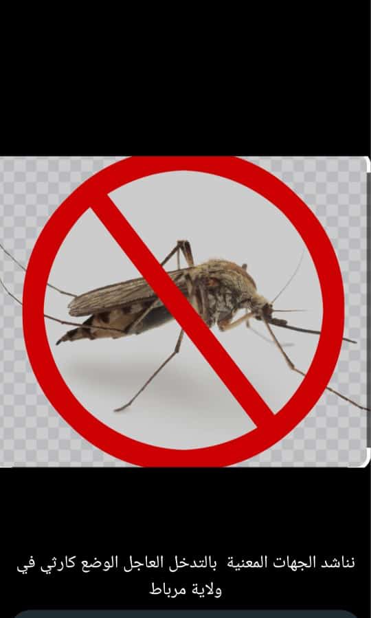 #بعوض_ولاية_مرباط نتمنى يكون هناك حل عاجل لهذه الافه <a href="/DhofarMun/">بلدية ظفار | Dhofar Municipality</a>