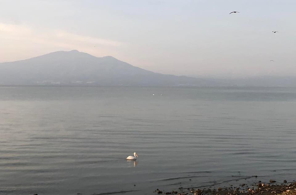 joeette Benjamin AKA Aubela Mota Jojo👨🏾🦼🌬️🪴 tweet media