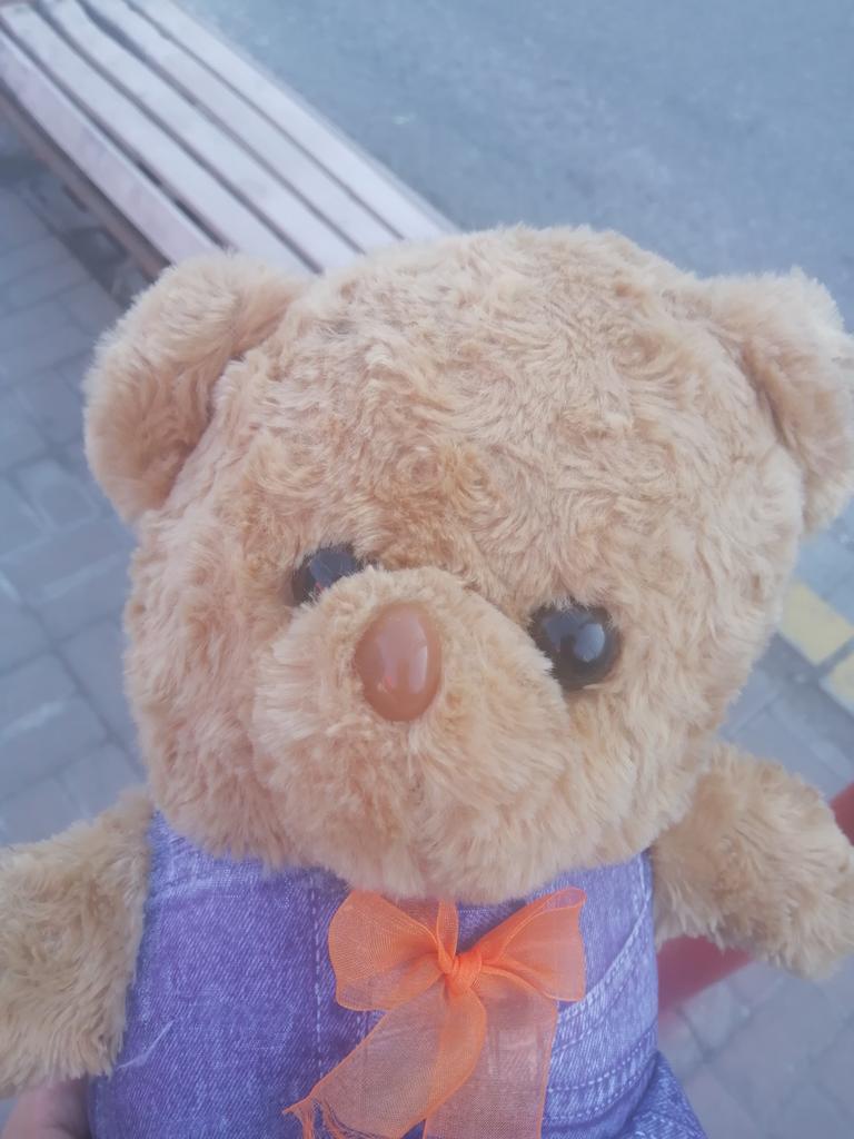 ltc2500's tweet photo. 这熊太好看啦，就是不知道哪儿好看就是了😜 https://t.co/Wl80nLVCPA