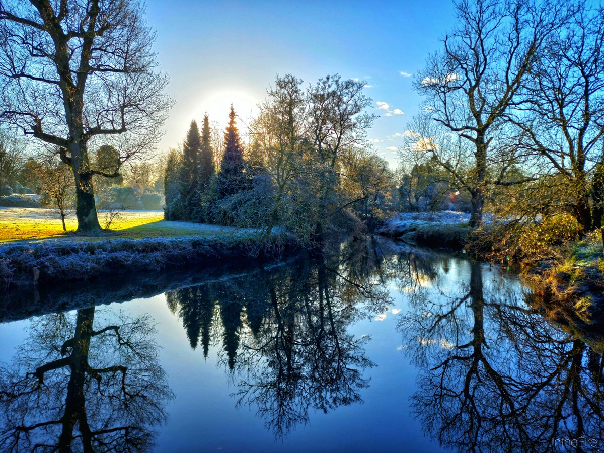 I N T H E É I R E tweet media