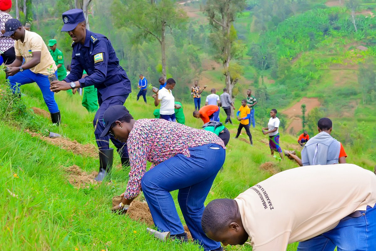 KabacuziS's tweet photo. Kuri uyu wa gatatu   Mayor  w'akarere ka Muhanga @KAYITAREJacky  yifatanyije n'urubyiruko  rw'umurenge wa #Kabacuzi m'umuganda wihariye  wabereye mu kagari ka kabuye. 
Hatewe ibiti 3200 harimo iby'ishyamba ,iby'imbuto n'ibivangwa n'imyaka.
@Muhangadis 
@KAYITAREJacky https://t.co/4wHqpZaHLX