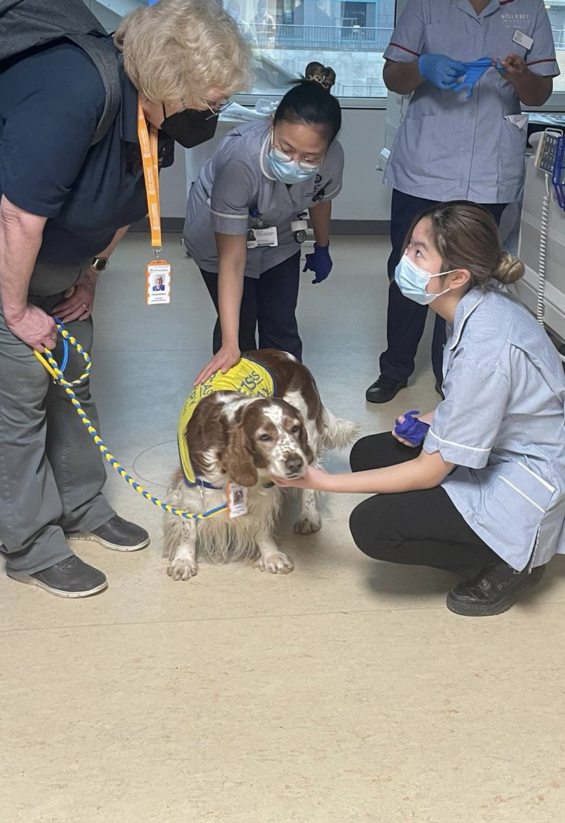 This week we welcomed our first group of student nurses. Dr Vera, the therapy dog made them feel very welcome 🐶