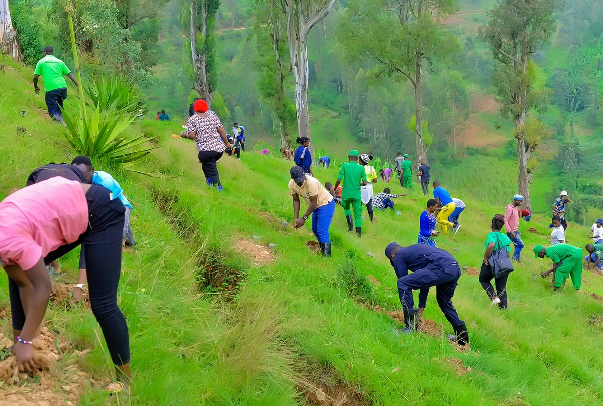 KabacuziS's tweet photo. Ni umuganda wateguwe mu rwego rwo kwitegura umunsi w'Intwari.
Nyuma y'umuganda yahaye impanuro urubyiruko abakangurira kugira imyitwarire myiza bigira kubyiza byaranze intwari z'u Rwanda.
@muhangayouth 
@RwandaYouth https://t.co/u4luZ5s5qI