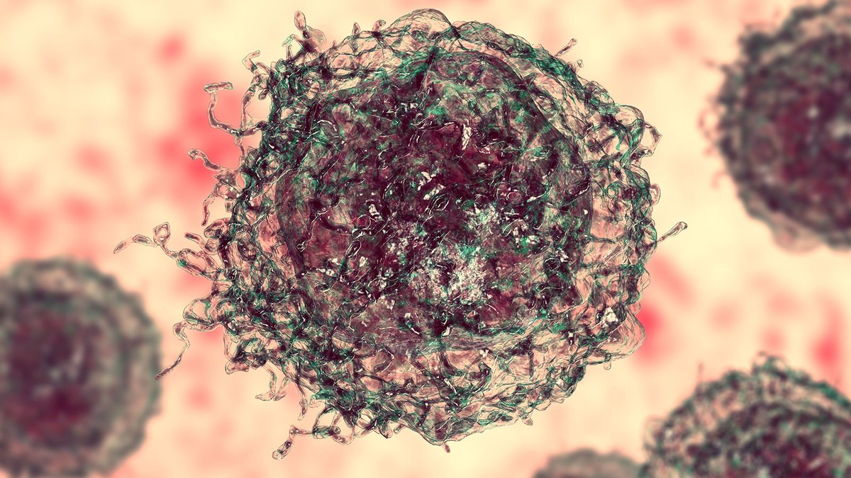 CHOP_Research's tweet photo. .@ChildrensPhila’s Dr. John Maris is developing a #PersonalizedCancerVaccine for #neuroblastoma patients to prevent relapse. Learn more about his novel research on Cornerstone. https://t.co/DzUDUPhcYD https://t.co/7cFYonDDeb