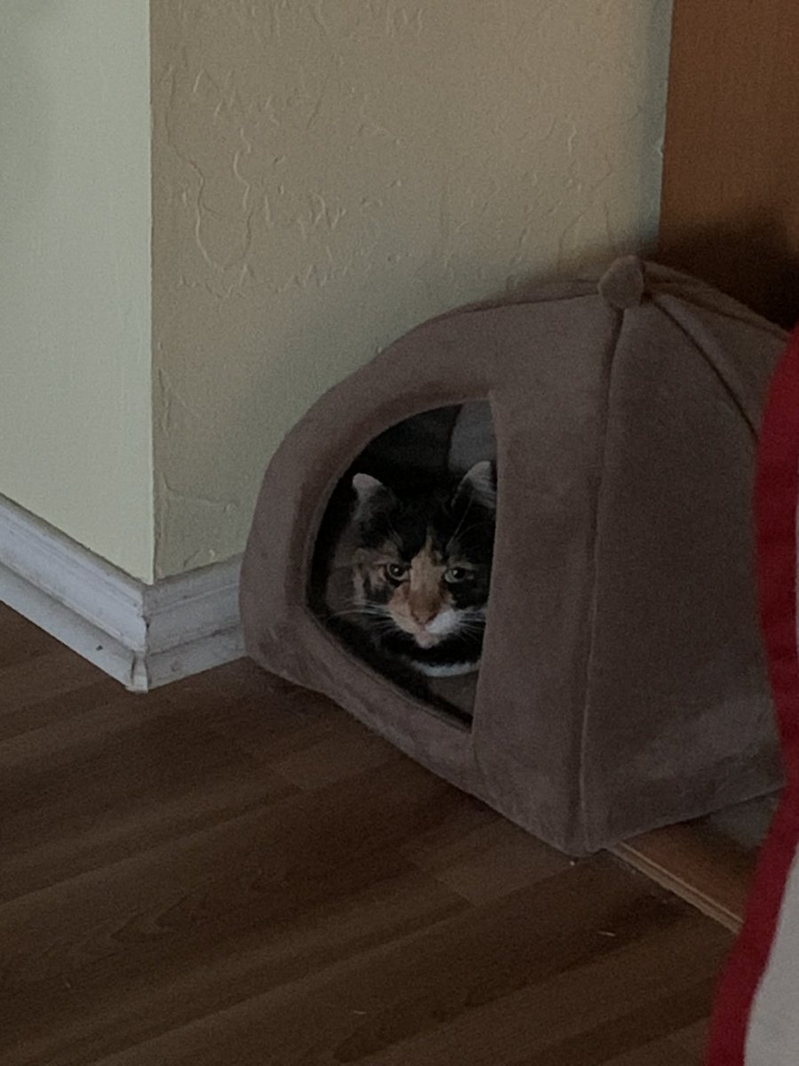 Dad had to go into the office so I’m pouting.