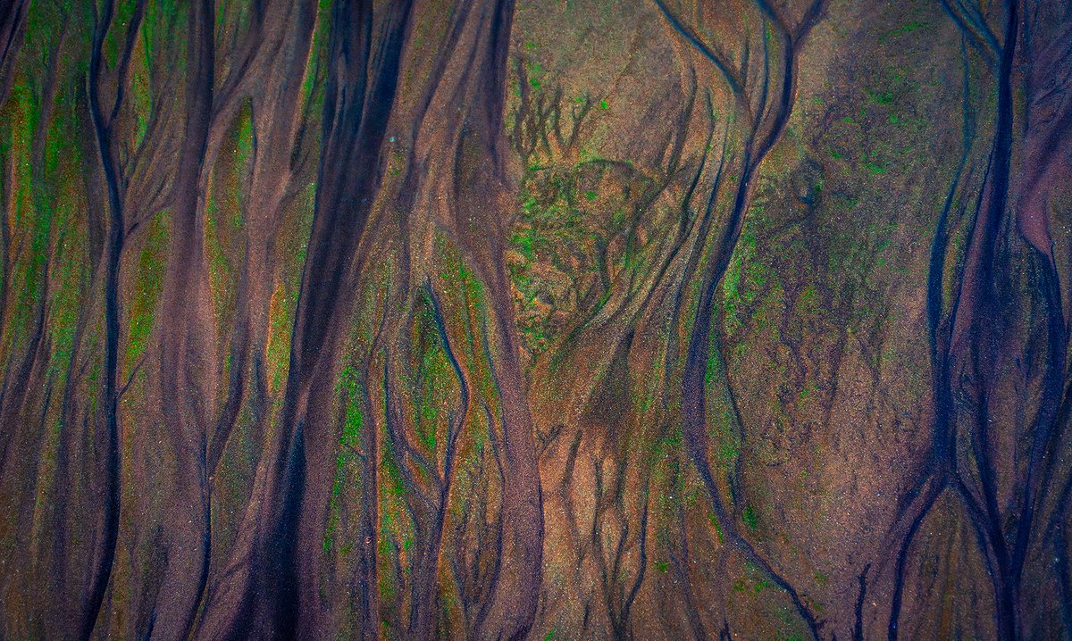 ArjunHaarith's tweet photo. Intricate patterns on a Beach

#mumbai #nikon #natgeo #maharashtratourism https://t.co/0ZZZ98d5n8