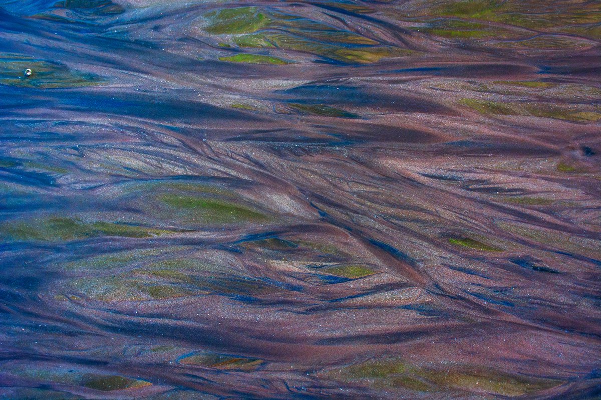 ArjunHaarith's tweet photo. Intricate patterns on a Beach

#mumbai #nikon #natgeo #maharashtratourism https://t.co/0ZZZ98d5n8