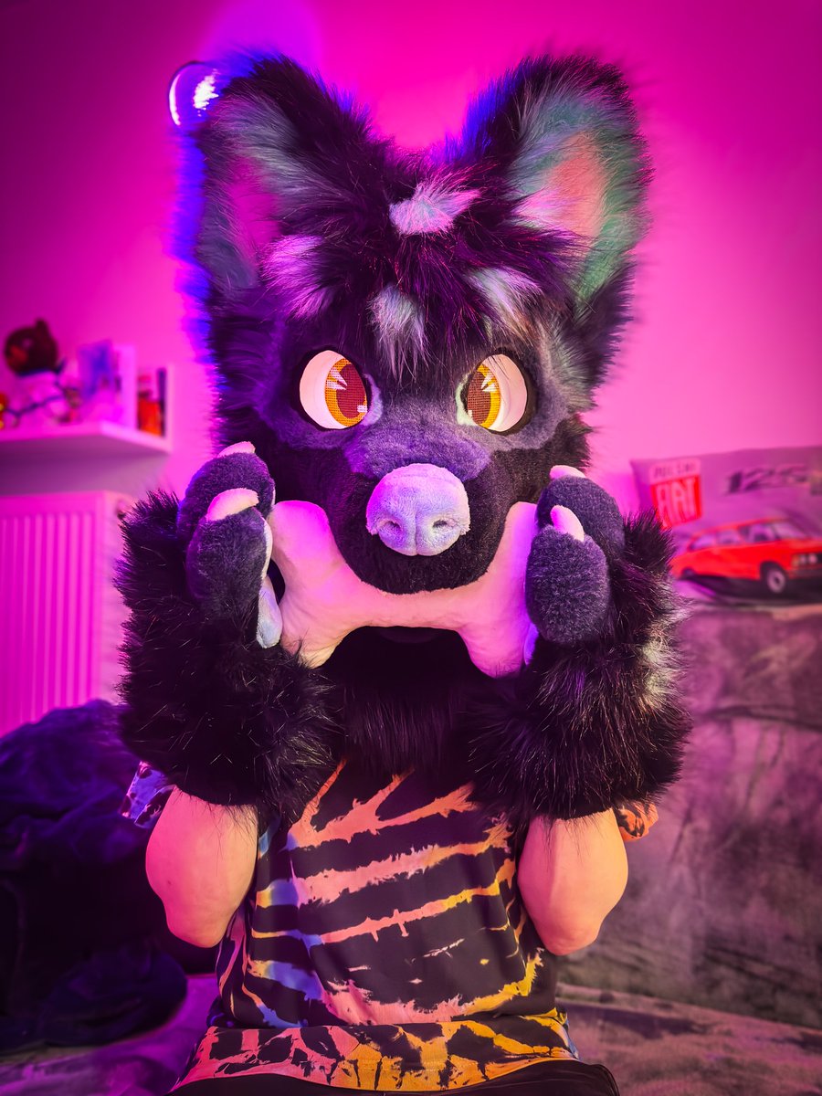 __noise's tweet photo. 🦴 https://t.co/pb51Iyts5E