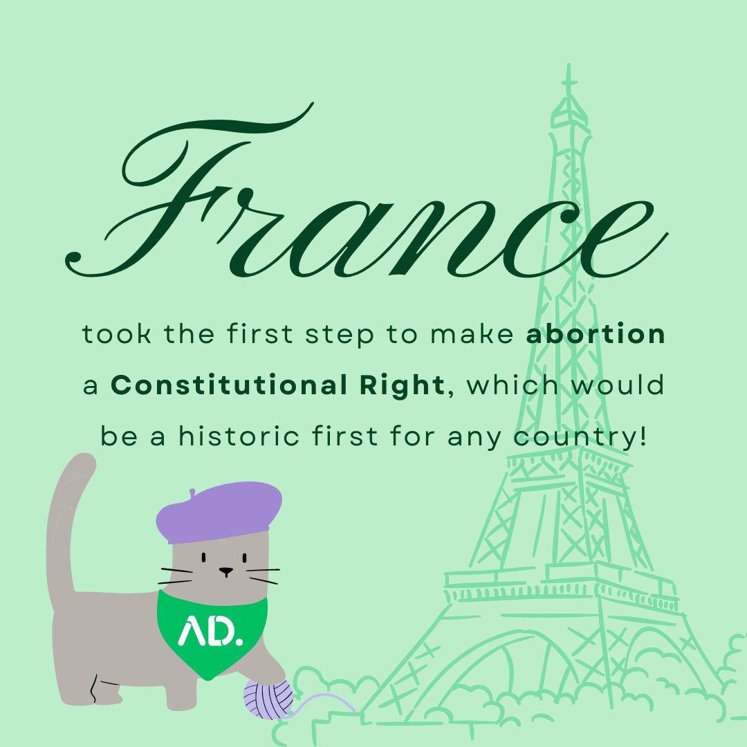 abortiondata's tweet image. 🎉 Historic News from France! 🇫🇷 The National Assembly voted overwhelmingly in favor of a groundbreaking bill to potentially enshrine abortion rights in the constitution! 💪 If passed by the Senate, France could lead globally in protecting reproductive rights.🌍🙌 #AbortionRights