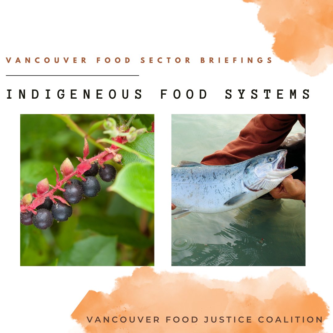 On February 9th, the Vancouver Food Justice Coalition (VFJC) will be hosting the Vancouver Food Systems Dialogue at the City Hall with highlights to follow. Learn more about Indigenous Food Systems in Vancouver in the VFJC Food Sector Briefings vancouverfoodnetworks.com/wp-content/upl…