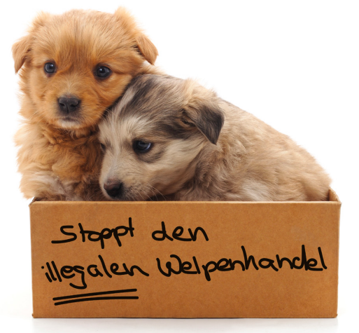 kvr.muenchen tweet media