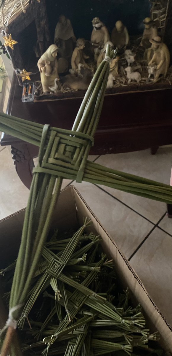 St. Brigid, bless all our families with health of body and peace of mind..