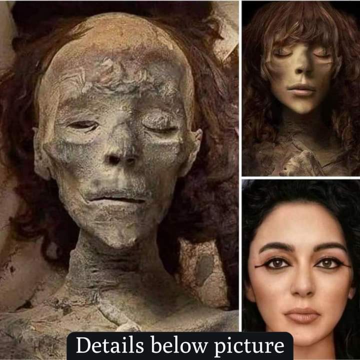 Iqrajamil0's tweet photo. Reconstruction of the face of Queen Tiye (1338 BC) involved bringing her features back to life after being buried for 3,400 years using forensic techniques.
#archaeological #ancient #QueenTiye https://t.co/HPAYNxNhGL
