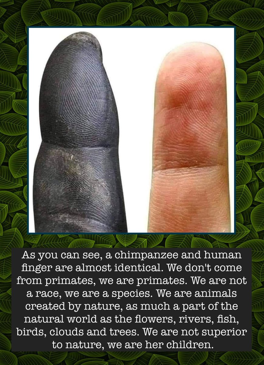 Imandi Udukumbura tweet media