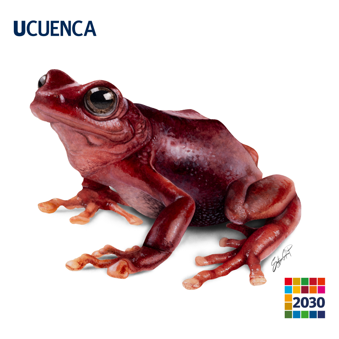 UCuenca tweet media
