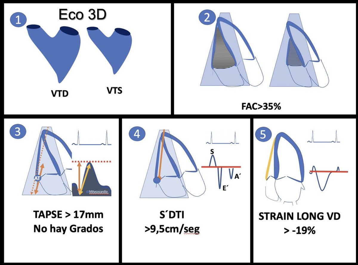 MA Garcia Fernandez tweet media