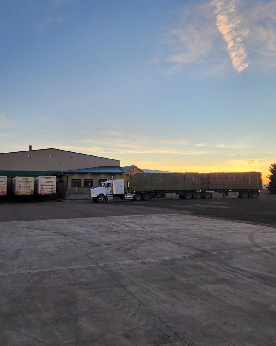 Green Prairie International Inc. tweet media