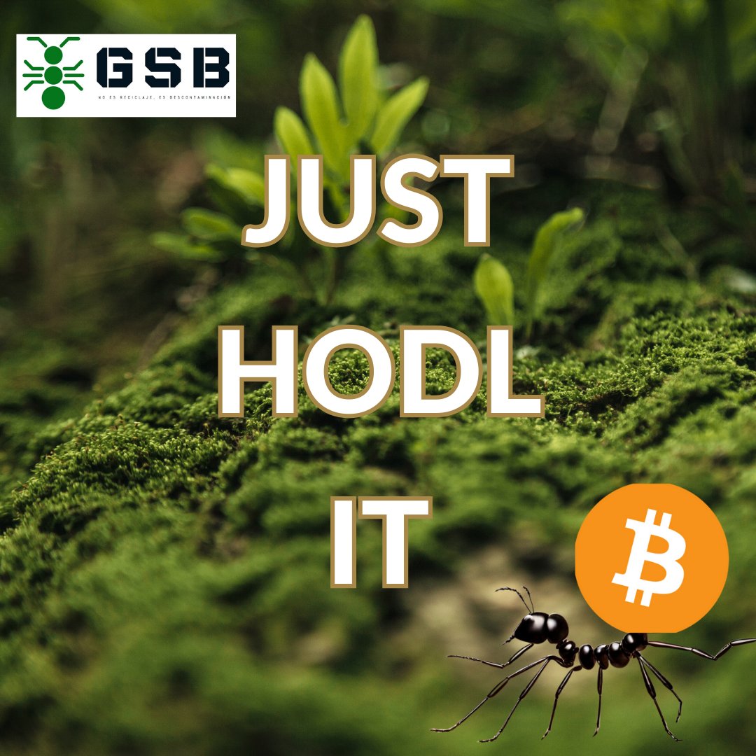 GSB_X_'s tweet photo. JUST HODL IT

#GSB #Guatemalasinbasura #Bitcoin #justhodlit
#Greenenergy #Greenbitcoin https://t.co/TnyXH8yXPV