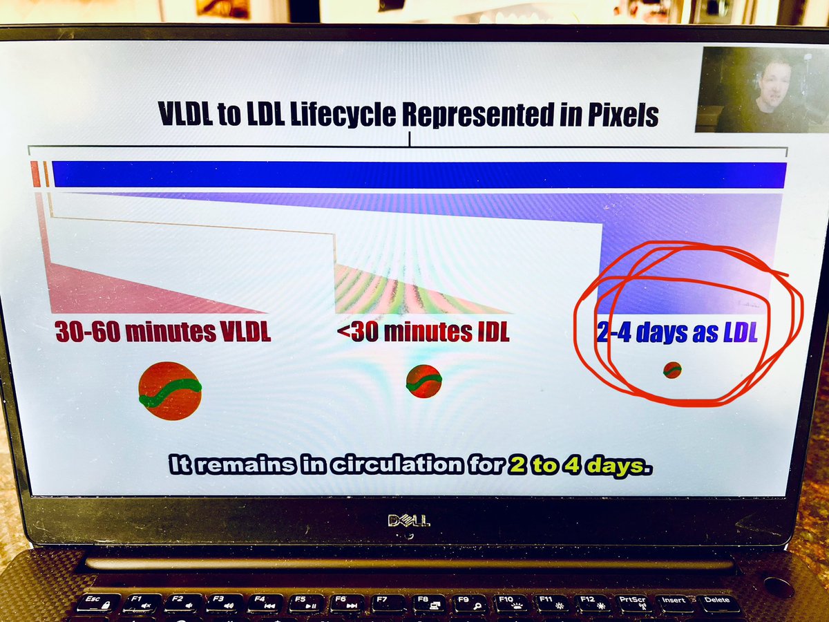 @richcollins @Alicewants2know @MohammedAlo @realDaveFeldman @DanteFerrigno @StickmanBleedin @kelly_hogan_zc LDLc only measures some of the ApoB particles. If insulin sensitive Chylomicrons IDL and VLDL should be low.