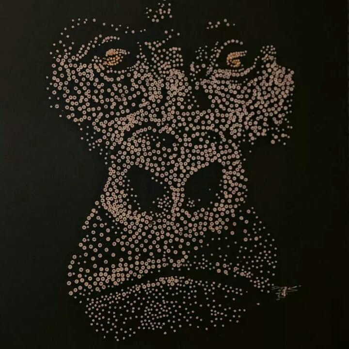 #NouvellePhotoDeProfil