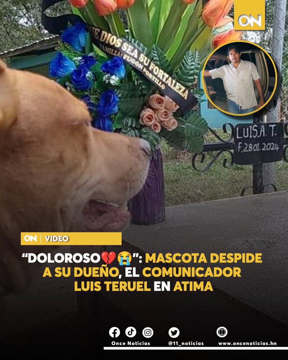 canal11hn's tweet photo. #VIDEO🎥| ¡DESGARRADOR!💔🥹 Entre los asistentes estaba su fiel compañero que le acompañó hasta el final, se trata de su perro, quien observó a su dueño a través de la tapa de vidrio interior del ataúd. 

Mira momento aquí👉: https://t.co/vb7xA4312N

#Atima #LuisTeruel #Funeral https://t.co/HLVP3WbH2Y