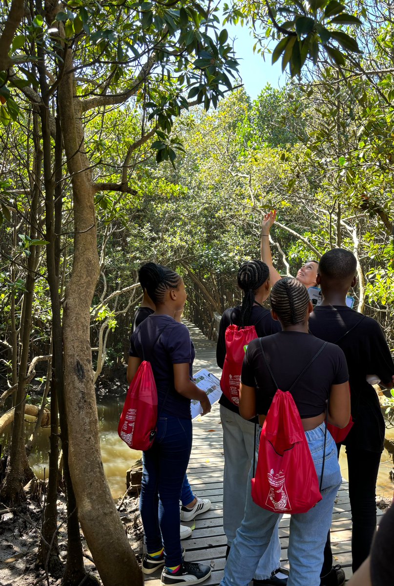 Brilliant day in the mangroves today talking about climate, sea level and palaeoecology with learners from Newlands East with @ukznpalaeolab in partnership with @JiveMediaAfrica @UKZN and funded by @NRF_News #BeachwoodMangroves